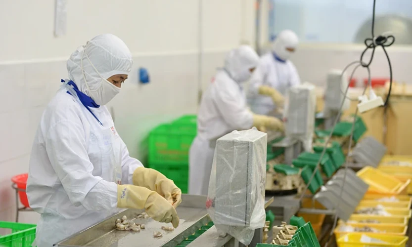 Tăng sức cạnh tranh cho nông sản xuất khẩu sang Mỹ