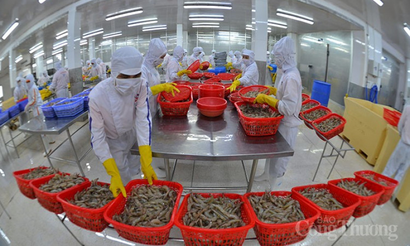 Khu vực FDI xuất siêu trên 3,5 tỷ USD trong tháng 1/2024