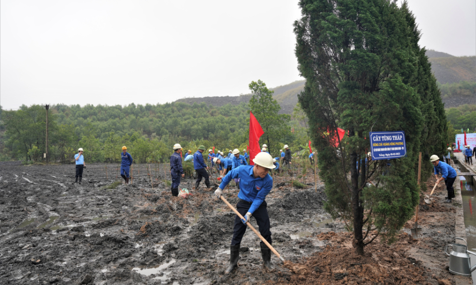 Quang Ninh to launch Tet tree-planting festival on February 15