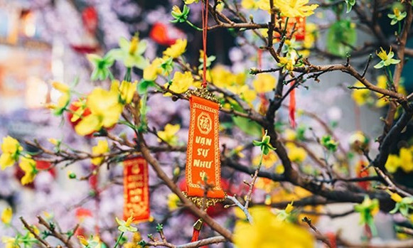 Tet wishes extended to overseas Vietnamese