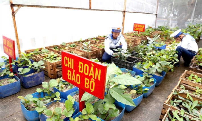 Scientific farming techniques transform Trường Sa
