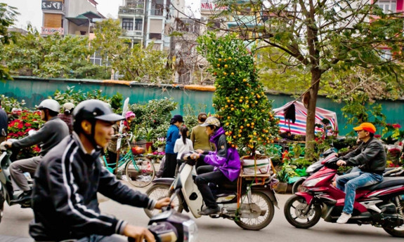 Chỉ đạo, điều hành của Chính phủ, Thủ tướng Chính phủ nổi bật tuần từ 29/1-2/2/2024
