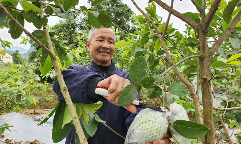 Ngày mới ở Sơn Dương