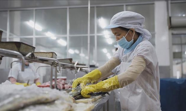 Quy định mới về miễn thuế thu nhập doanh nghiệp, thuế thu nhập cá nhân
