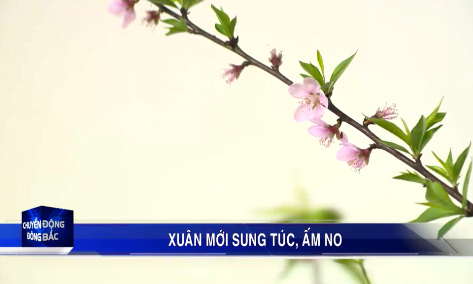 Xuân mới sung túc, ấm no