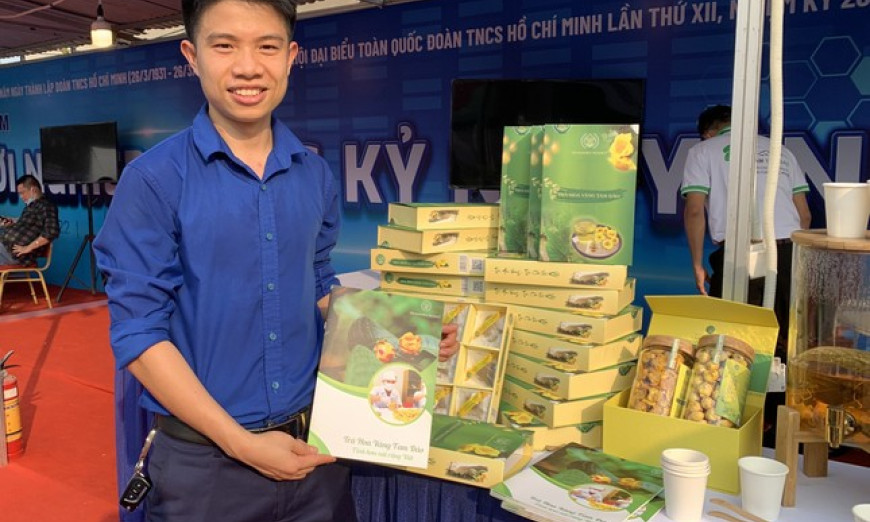 Chàng thanh niên đánh thức 'nữ hoàng trà' Tam Đảo