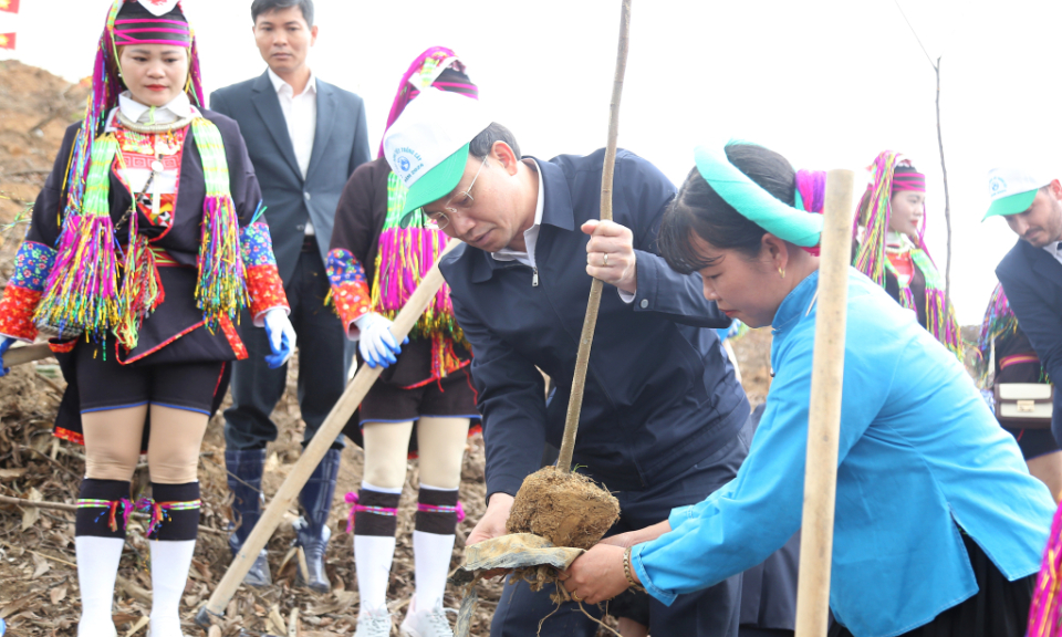Tỉnh Quảng Ninh phát động Tết trồng cây “Đời đời nhớ ơn Bác Hồ”
