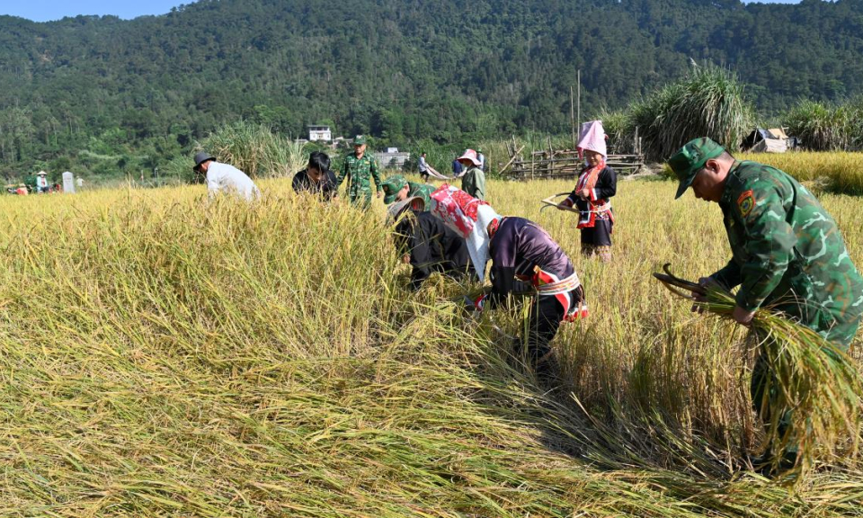 Mô hình BĐBP giúp dân phát triển kinh tế