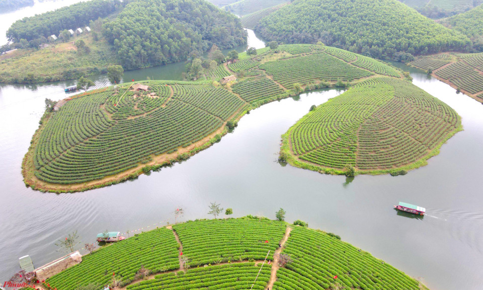 Đảo chè Thanh Chương - “vịnh Hạ Long trên cạn” của xứ Nghệ