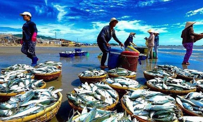 National programme on protecting and developing aquatic resources approved