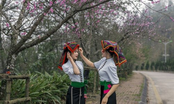 Fansipan miễn phí vé tàu hỏa cho du khách từ 5 tỉnh thành