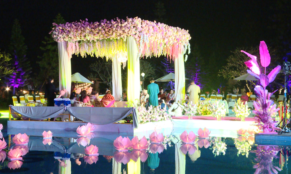印度亿万富翁在下龙市举行婚礼