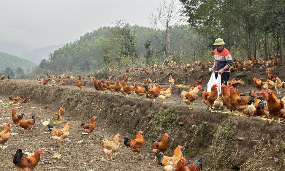 Lan toả nguồn vốn tín dụng chính sách