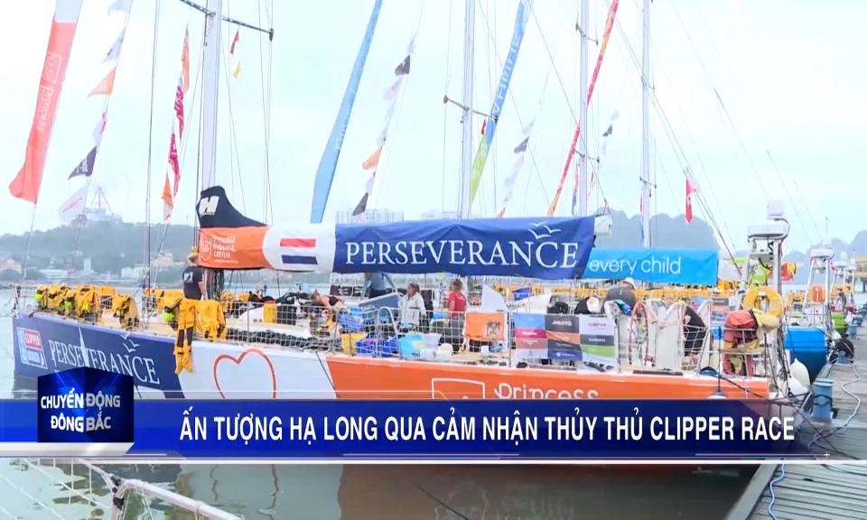 Ấn tượng Hạ Long qua cảm nhận của thủy thủ Clipper Race
