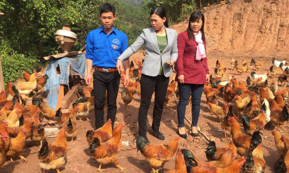 Thành quả từ sự nỗ lực