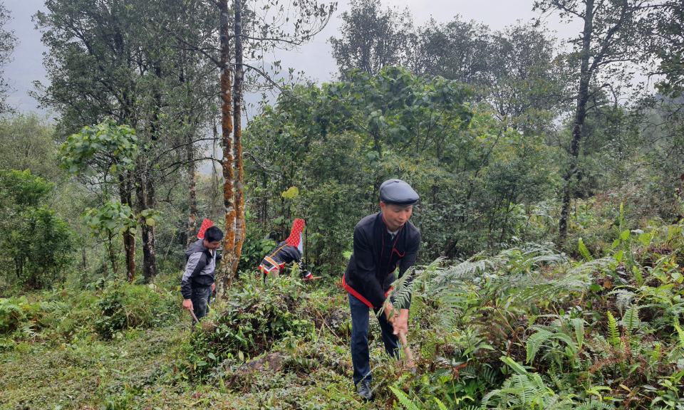 Hạt nhân thúc đẩy phát triển kinh tế ở Khe Tiền