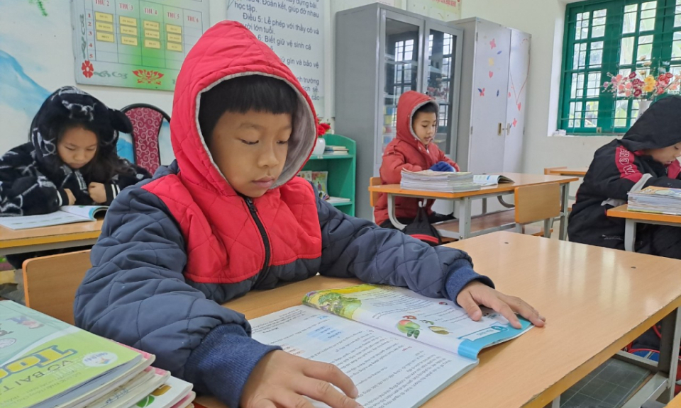 Chủ động phòng chống rét đậm, rét hại trên địa bàn tỉnh