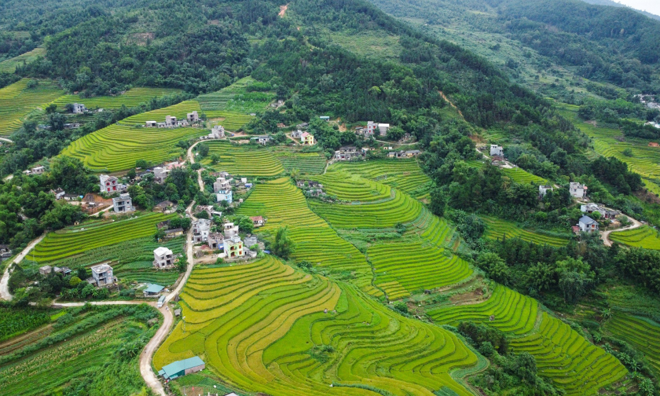  “Quả ngọt” trên hành trình xây dựng nông thôn mới  