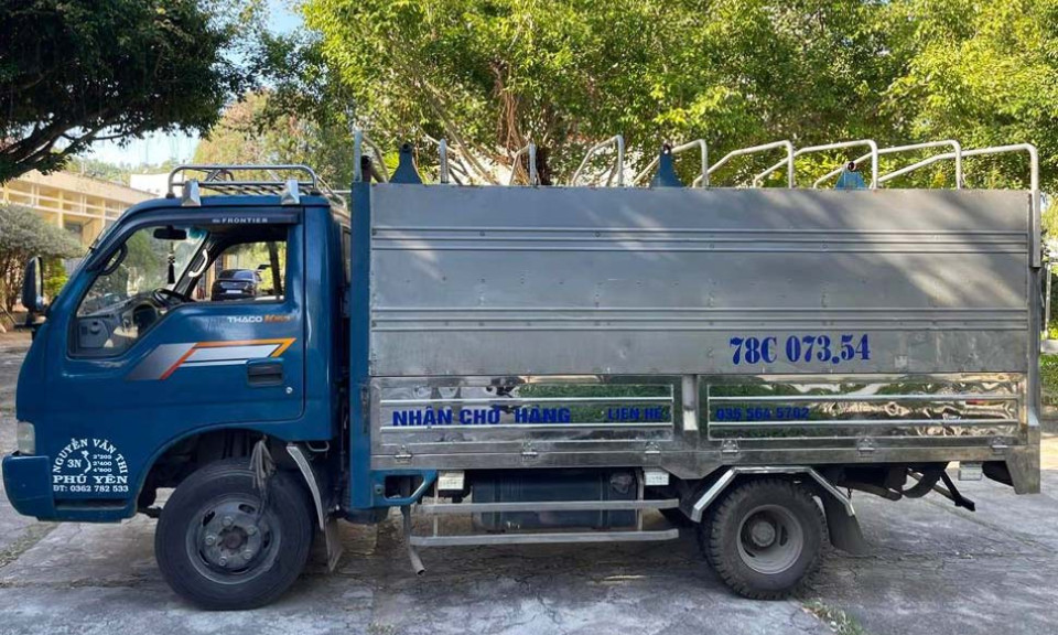 Nam thanh niên ở Phú Yên thuê xe tải đi trộm bò để lấy tiền xài Tết