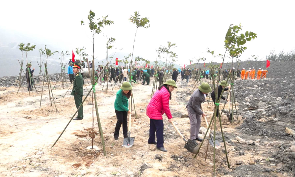 Xây dựng thành phố Cẩm Phả không rác thải