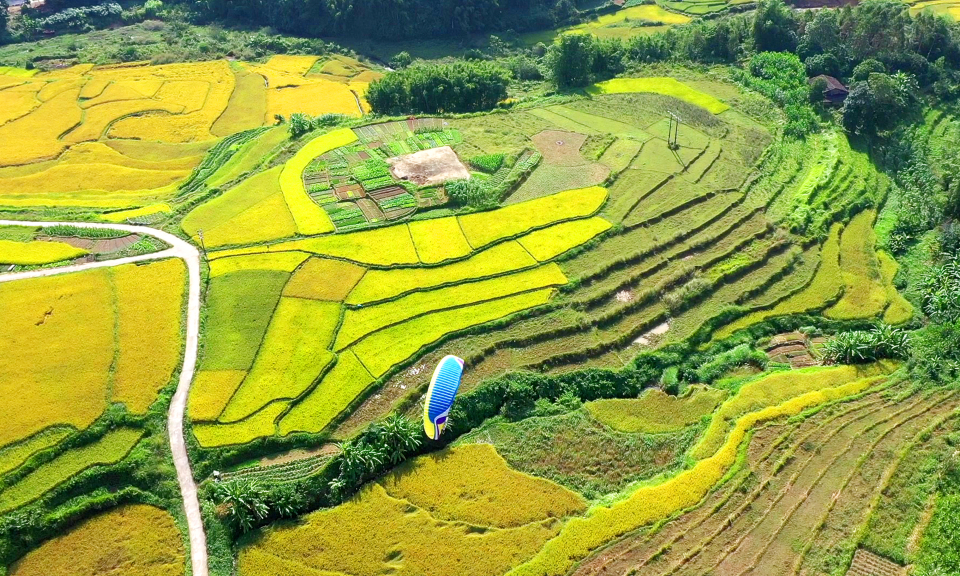 Hướng đi giàu triển vọng từ du lịch nông nghiệp