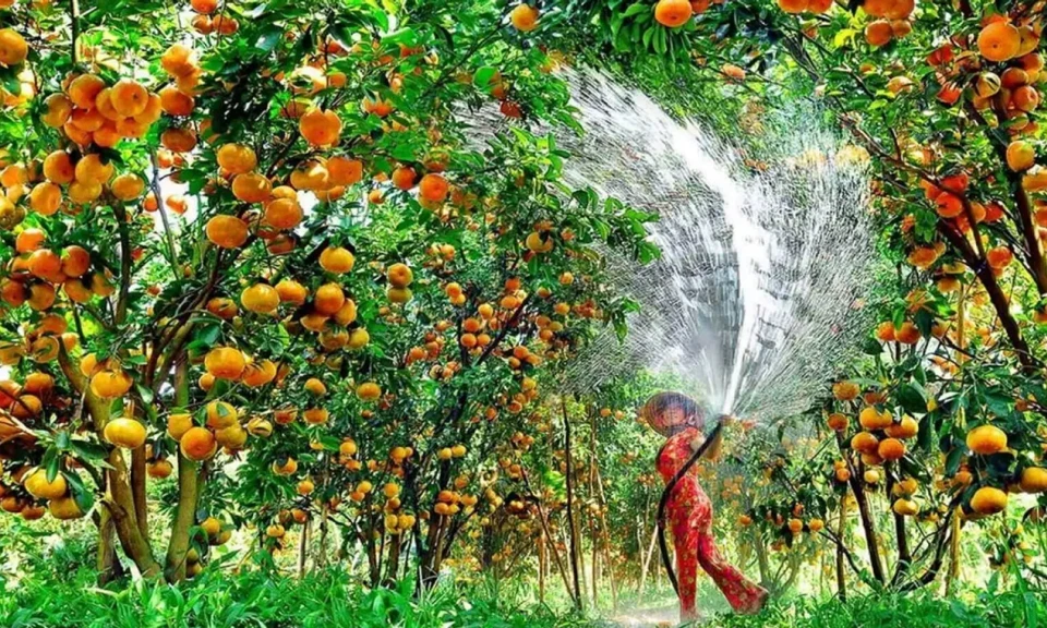 4 điểm đến "lạ mà quen" của Cần Thơ