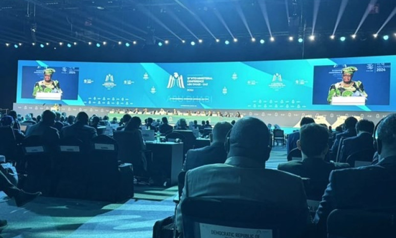 Vietnam pushes for WTO’s stronger trade, development role at MC13