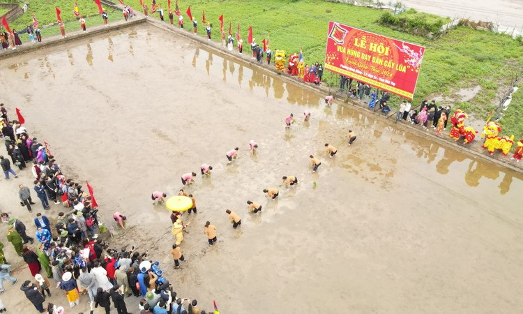 [In Pictures] Festival re-enacts Hung Kings’ teachings on rice cultivation