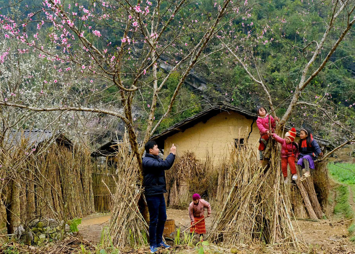 Spring's palette unveils Ha Giang's blooms