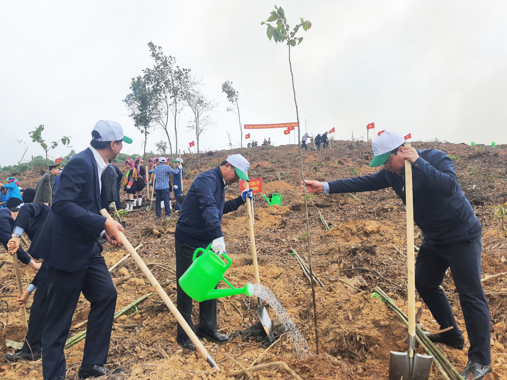 Lãnh đạo tỉnh Quảng Ninh trồng cây tại lễ phát động Tết Trồng cây năm 2024 được tổ chức ở huyện Đầm Hà.