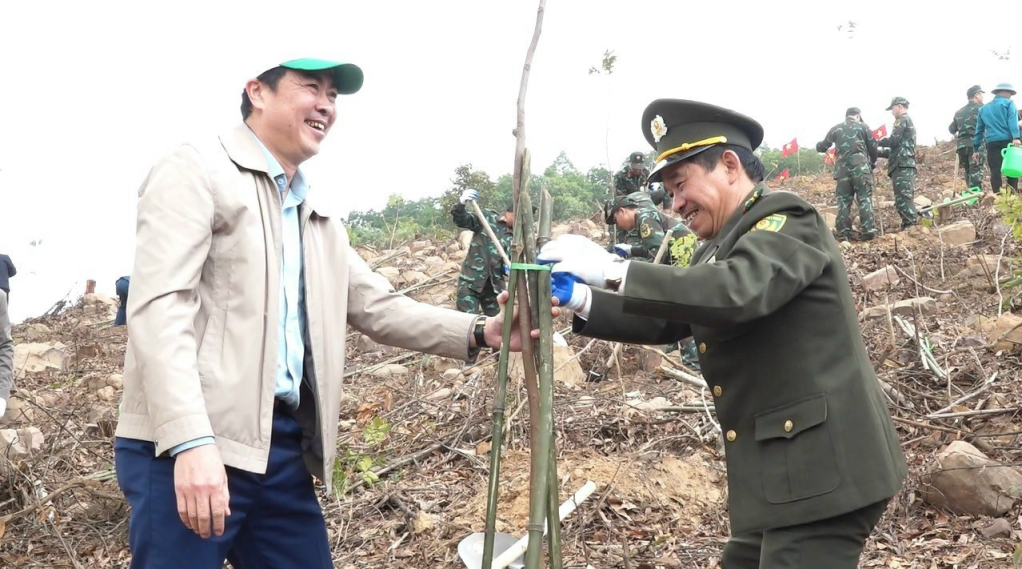 Lãnh đạo ngành nông nghiệp trồng cây tại huyện Đầm Hà.