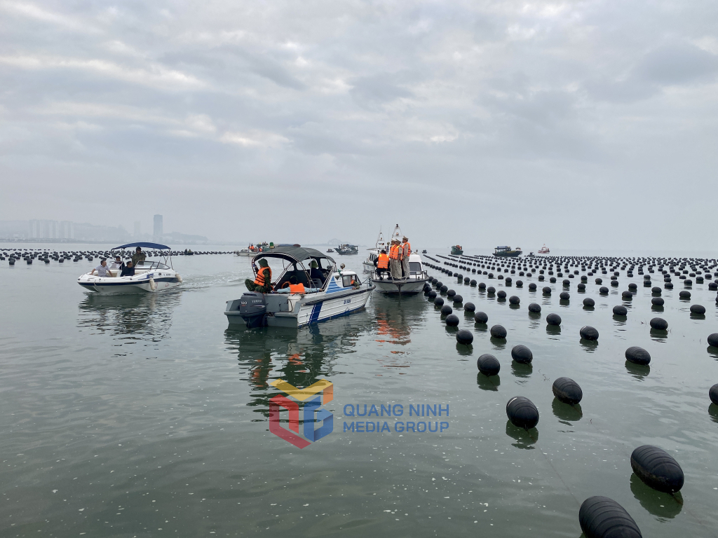 Đoàn kiểm tra liên ngành của thành phố Hạ Long thực hiện kiểm tra, xử lý vi phạm đối với các công trình nuôi trồng thủy sản không đúng quy định. Ảnh: Hoàng Nga
