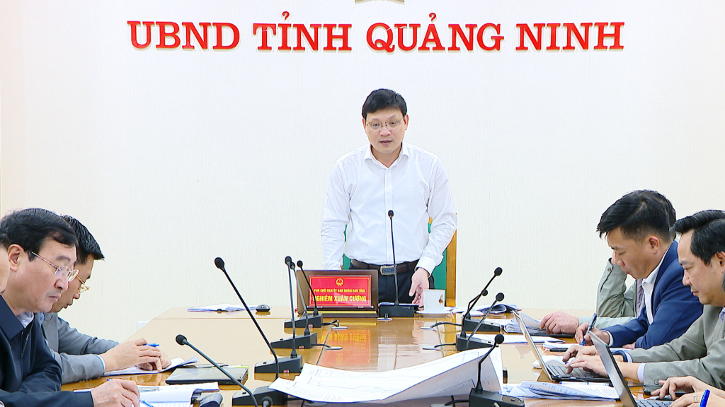 Đồng chí Nghiêm Xuân Cường, Phó Chủ tịch UBND tỉnh phát biểu kết luận cuộc họp.