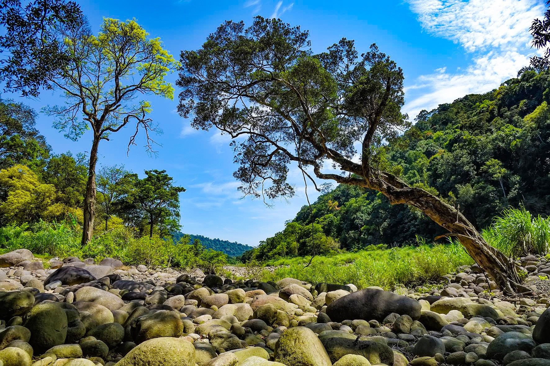 Vẻ đẹp hoang sơ của Vườn Quốc gia Vũ Quang - viên ngọc xanh ở Hà Tĩnh