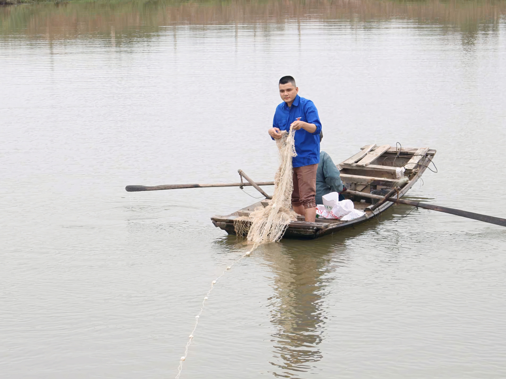 Anh Lê Văn Dương xã Liên Hòa (TX Quảng Yên) đang giăng lưới thu hoạch cá vược.