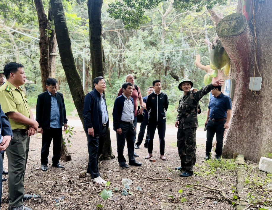 BQL vườn quốc gia Bái Tử Long và Trung tâm nhiệt đới Việt - Nga phối hợp khảo sát thực địa tại Đảo Minh Châu.