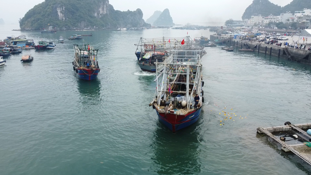 Đội tàu khai thác thủy sản của huyện Vân Đồn tích cực vươn khơi - tháng 2/2024.