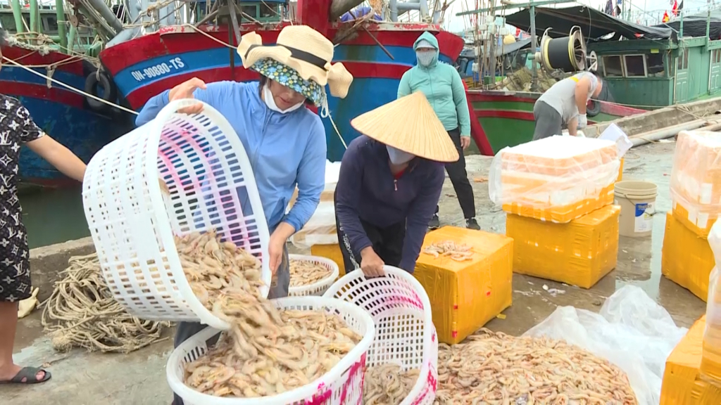 Ngư dân xã Tiến Tới, huyện Hải Hà xuất bán sản phẩm thủy sản khai thác.