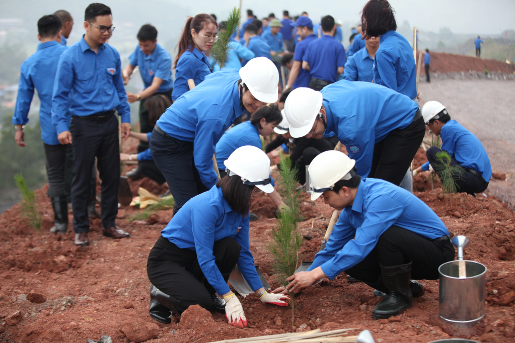 Hàng năm, Đoàn Thanh niên Tập đoàn phát động và trồng mới hàng nghìn cây xanh nhằm xanh hóa môi trường sản xuất