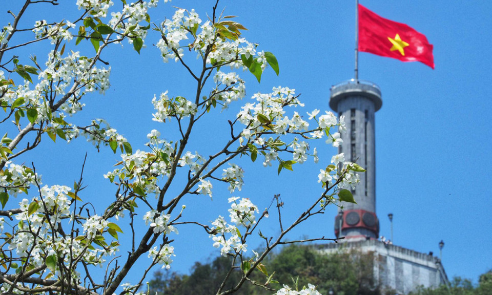Muôn hoa khoe sắc ở Hà Giang