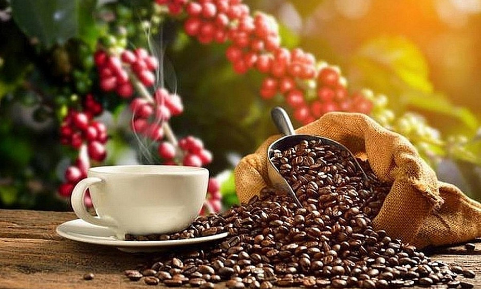 Chưa đầy 2 tháng, xuất khẩu cà phê đã thu về gần 1 tỷ USD