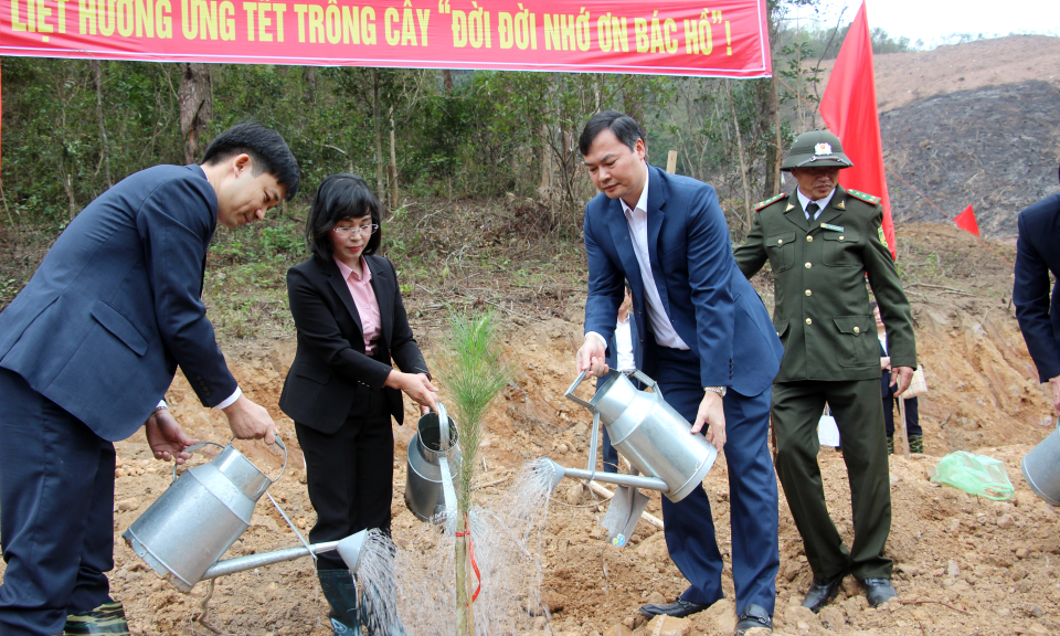 TX Đông Triều: Gỡ khó trong triển khai giao đất, giao rừng