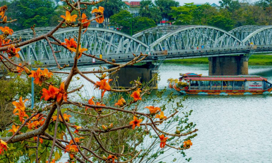 Dạo phố Huế, ngắm hoa gạo nở tháng 3