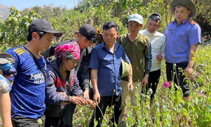 Bắt quả tang đối tượng trồng hơn 3.000 cây thuốc phiện trong rừng sâu
