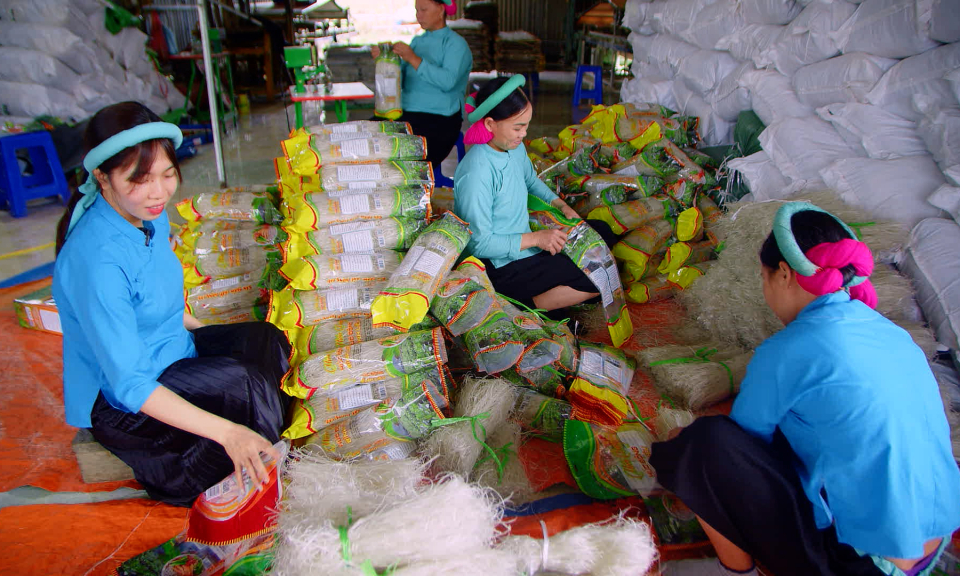 Phát triển sản xuất nông, lâm nghiệp bền vững tại vùng đồng bào dân tộc thiểu số