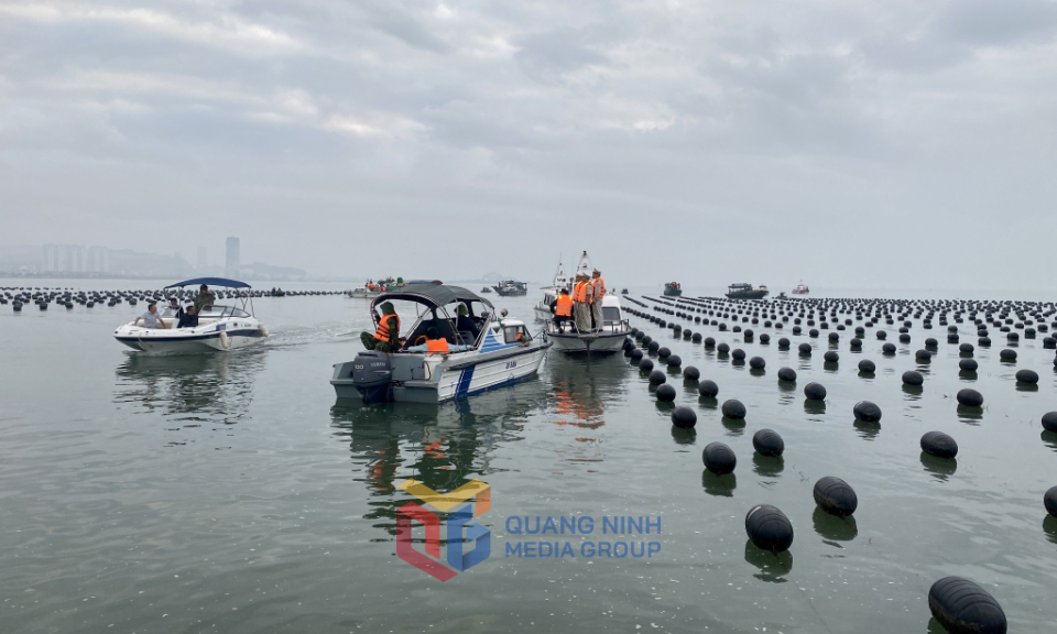 Phát triển bền vững ngành thủy sản