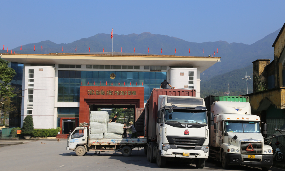 Hải Hà: Đưa Nghị quyết 06 vào cuộc sống