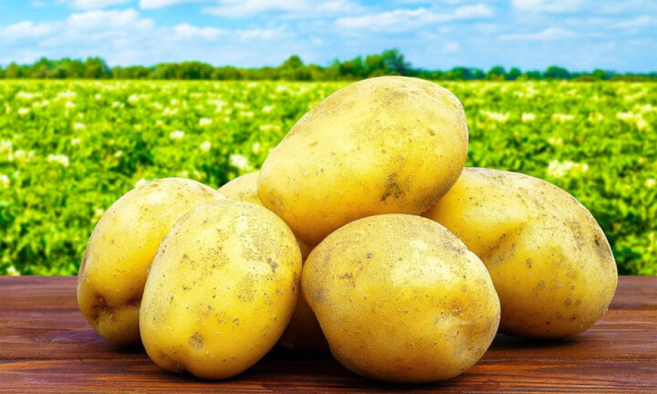 8 cách làm sạch ly thủy tinh bị ố