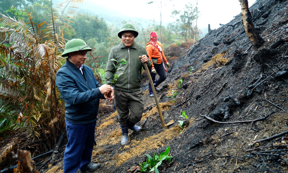 Hỗ trợ đồng bào DTTS nâng cao thu nhập
