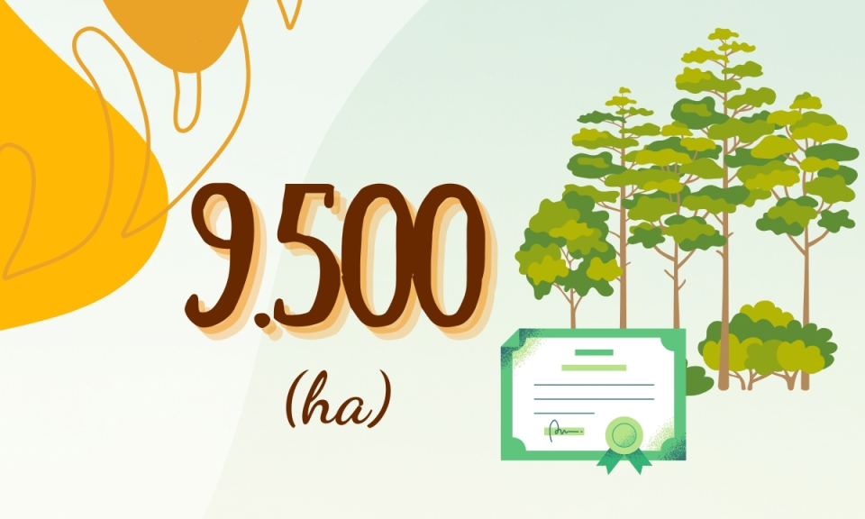9.500 ha - là diện tích rừng đã được cấp chứng chỉ trên địa bàn tỉnh Quảng Ninh